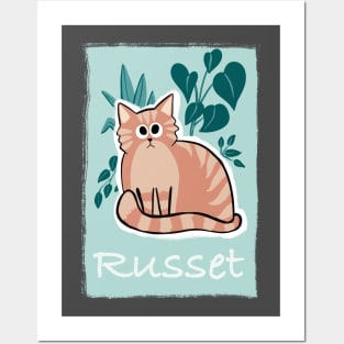 Russet the chonky orange cat Posters and Art